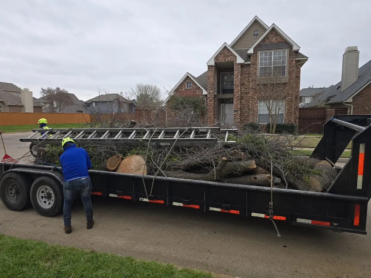 Expert Lot Clearing with proper safety equipment in Bailey